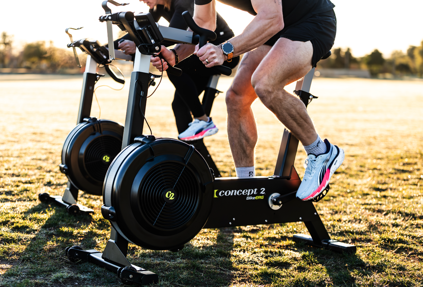 BikeErg Concept2
